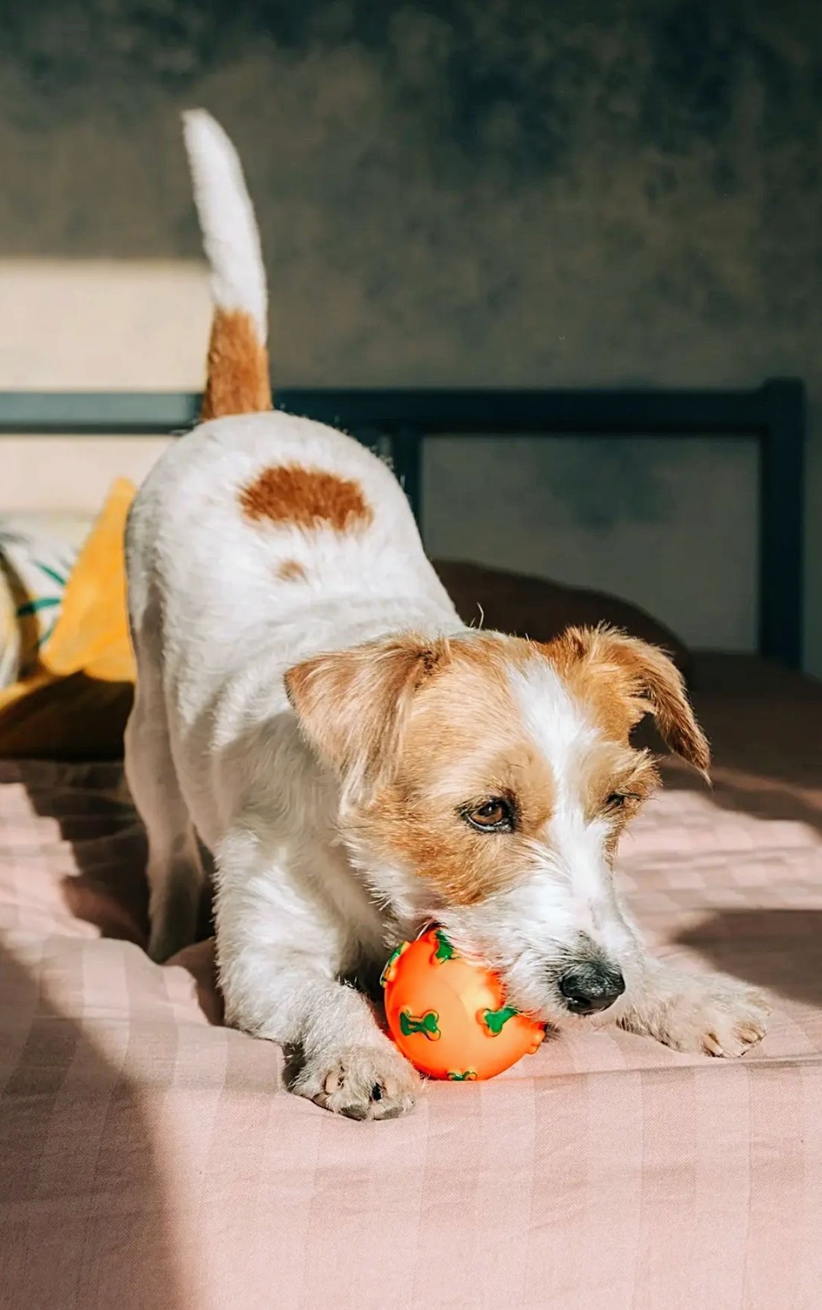 Playtime